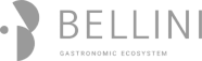 Беллини Групп
