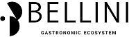 Беллини Групп
